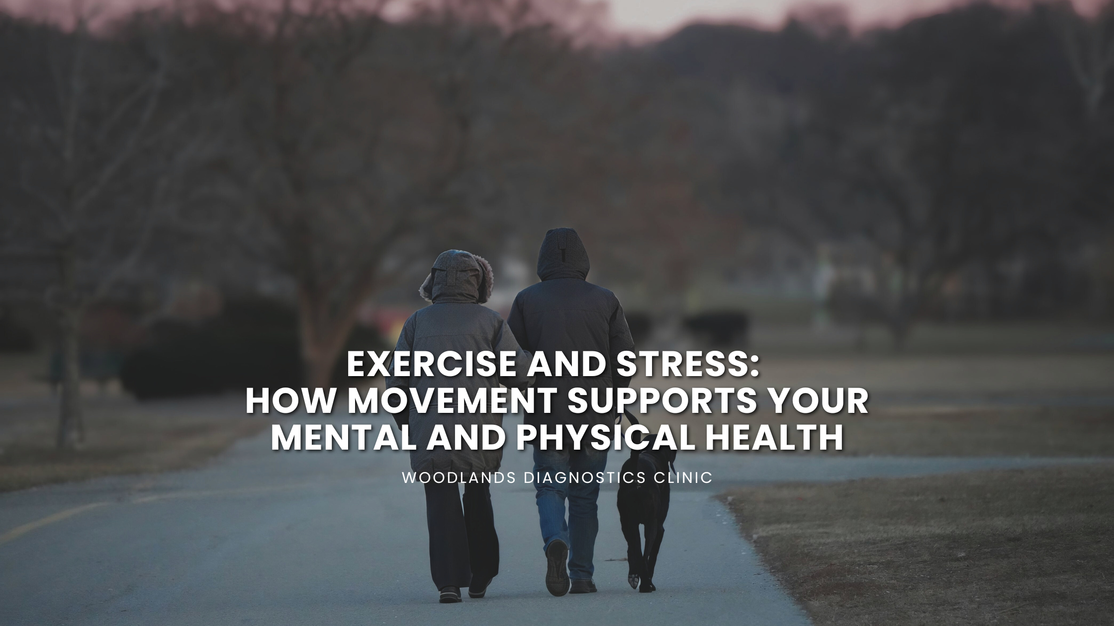 Exercise and Stress How Movement Supports Your Mental and Physical Health